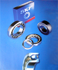 skfLSSKFRPNA../..ϵ̖